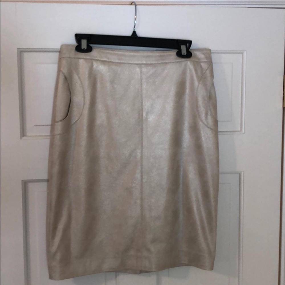 Fashionista pencil skirt